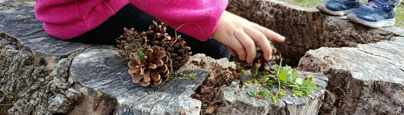 Natur2