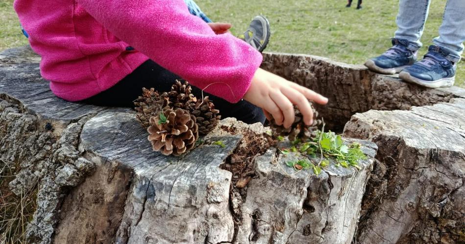 Natur2